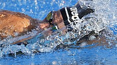 eská plavkyn Barbora Seemanová na evropském ampionátu v Blehrad