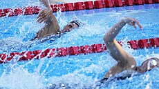 eská plavkyn Barbora Seemanová na evropském ampionátu v Blehrad