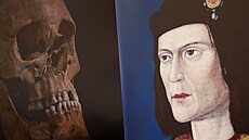 Genetici peetli DNA Richarda III. Krlv genom prozradil nevru