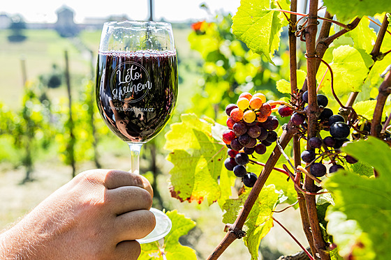 Milujete víno a dobrou kulturu? Zapite si do kalendá Léto s vínem!