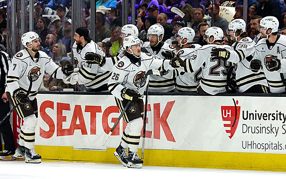 Gólová radost hokejist Hershey Bears.