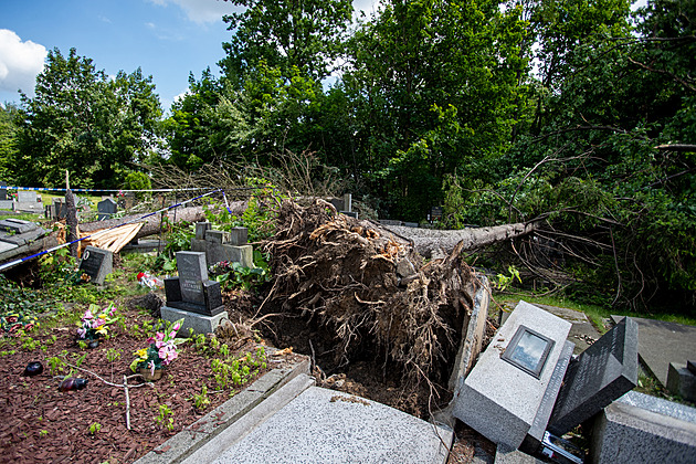 V Těšíně sčítají škody po bouři. Stromy padaly i na hroby, poškozeno jich je 150