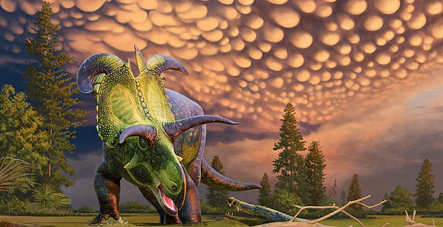 Dinosaurus jako z fantasy. Lokiceratops měl obří hlavu, bizarní rohy