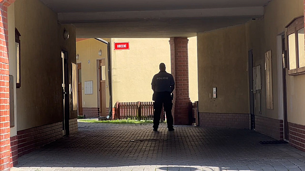 Muž z Lounska střílel z domu na ulici, zamkl se v bytě. Zadržela ho zásahovka