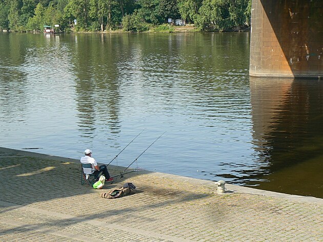 Rybá na Vltav