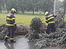 Stedoetí hasii zasahovali u nkolika pípad popadaných strom a dalích...
