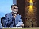 Íránský prezidentský kandidát Amír-Hosejn Ghazizadeh Háemí (25. ervna 2024)