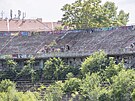 Ze stadionu, kter byl svho asu chloubou Brna, zbyly jen ruiny prorostl...