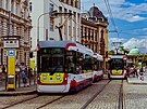 Olomouck dopravn podnik pidal tramvajm typu EVO lut ela jako prvek...