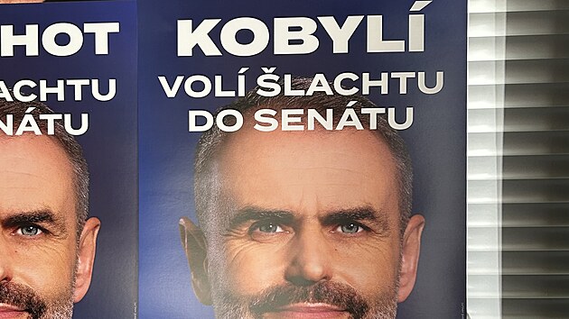 Robert lachta m ambice dostat se do Sentu, kandidovat bude v obvodu slo 56 - Beclav. Pro kadou obec m specifick pedvolebn plakt. (27. ervna 2024)