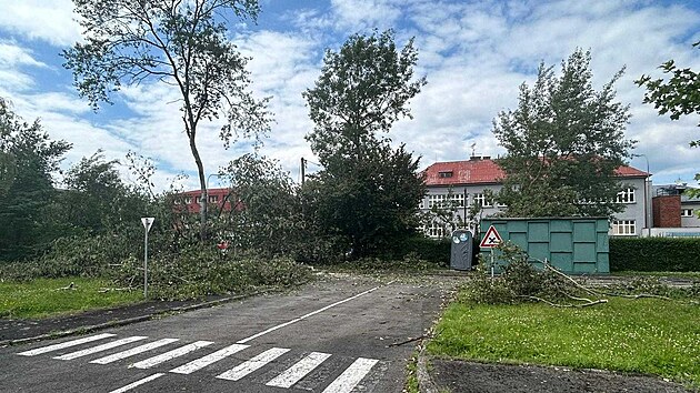 V eskm Tn stle likviduj kody po sobotn siln bouce. Na snmku je dopravn hit. (26. ervna 2024)