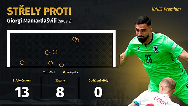 Gruz�nsk� brank�� Giorgi Mamarda�vili m�l za prvn� polo�as proti �esku osm...
