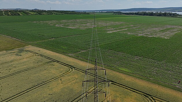 Energetici se u bt piloty, drony jim odhal poruchy na veden vysokho napt rychleji. Takto testovali drony na Plav, v pozad jsou vidt Pavlovsk vrchy.