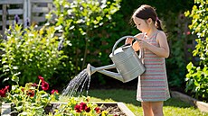 Dro��ový dé�� funguje i jako ochranka proti �k�dc�m.