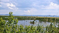 Jezero Kuhurluj u ukrajinsko-rumunské hranice v Odské oblasti (16. kvtna 2024)