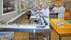 Výroba olomouckých tvar��k� v sou�asnosti.