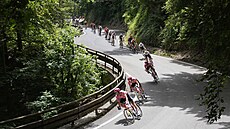 Peloton, který táhne tým EF, b�hem první etapy Tour de France
