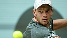 Hubert Hurkacz ve finále turnaje v Halle.