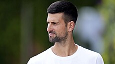 Novak Djokovi� b�hem tréninku ve wimbledonském areálu.