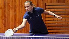 Hana Matelová bude jedinou eskou stolní tenistkou na olympijských hrách v...
