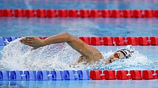 Barbora Seemanová ve finále závodu na 400 metr volným zpsobem na ME v...