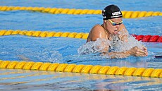 eská plavkyn Kristýna Horská na evropském ampionátu v Blehrad