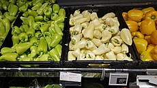 Sv�tlá Paprika zeleninová v Bille za 89,90 K�/kg (24.6.2024)
