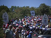 Peloton zdolává stoupání na Gallisternu ve druhé etap Tour de France.