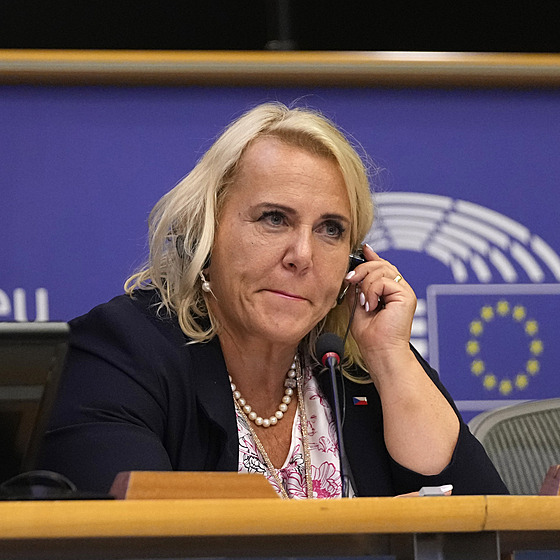 Jednání nové frakce Patrioti v Bruselu s Klárou Dostálovou (ANO). (9. ervence...