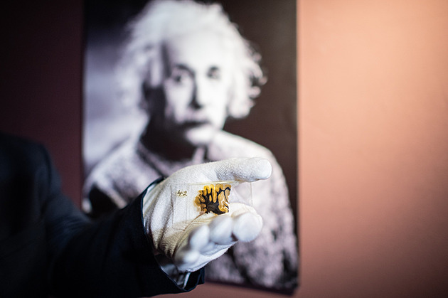 Einsteinův mozek i Napoleonův penis. Relikvie lákaly vědce i obdivovatele slavných