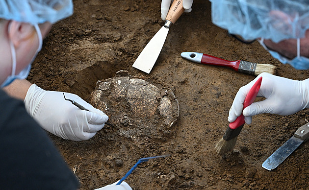Studenti archeologie našli pravěký hrob dítěte, prozkoumají DNA i nemoci