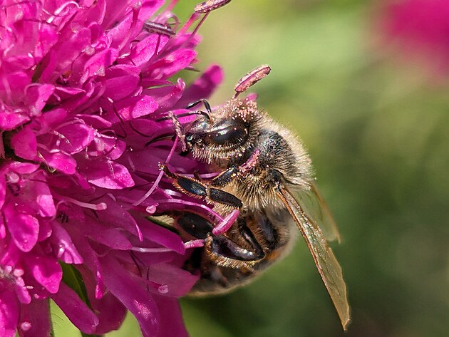 Fotografie po��zen� smartphonem Google Pixel 8 Pro