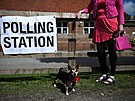 Britská média ukazují fotky ps voli. Reagují tak na písná pravidla, která...