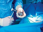 Celá horní polovina t�la je usazená de facto na jediné ploténce o velikosti...