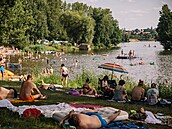 Probotská jezera, Brandýs nad Labem - Stará Boleslav (29. ervna 2024)