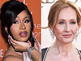 Slavné osobnosti, které nemají idiský prkaz.