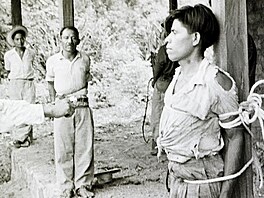 Z demokratické zem udlal na dlouhá desetiletí djit vojenských diktatur a...