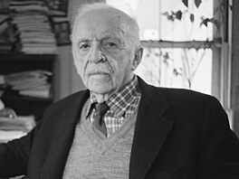 United Fruit Company, dnes ji známe jako Chicquitu, se nemínila poddat....