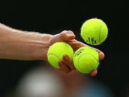 Detail balonk�, momentka ze �tvrtfinále Wimbledonu.