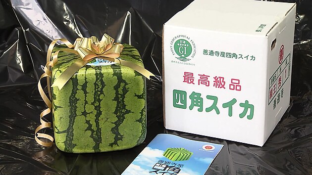 V Japonsku zahjili dodvku vodnch meloun ve tvaru kostky