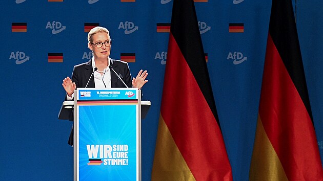 AfD si na sjezdu v Essenu volila veden. Spolupedsedy zstvaj Alice Weidelov a Tino Chrupalla. (29. ervna 2024)