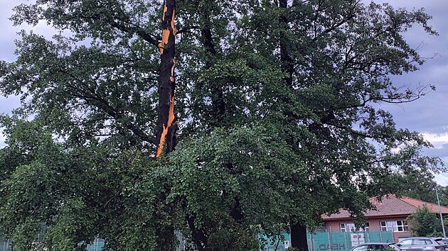 N�sledky siln�ch bou�ek v Praze (6. �ervence 2024)