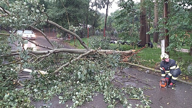 N�sledky siln�ch bou�ek v Praze (6. �ervence 2024)