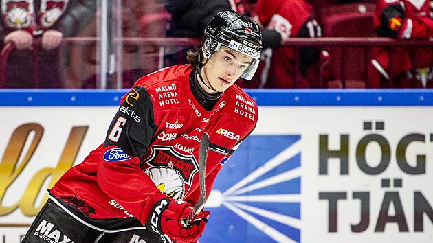 esk hokejov obrnce Dominik Badinka v dresu vdskho Malm.