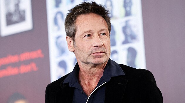 David Duchovny (Los Angeles, 17. ledna 2023)