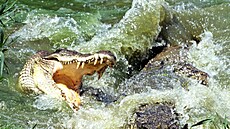 ilustra�ní snímek