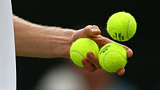 Detail balonk, momentka ze tvrtfinále Wimbledonu.