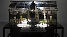 The Yelding Glass, Mat Collishaw