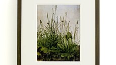 Whispering Weeds, Mat Collishaw