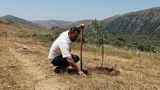 Libanontí farmái hledají v zemi dkazi o kodlivosti bílého fosforu